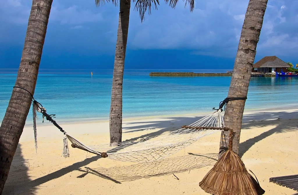 Two hammocks strung between palms over white sand and turquoise water