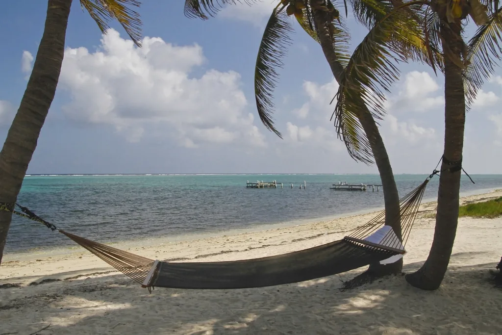 A hammock resting in palm shade beside a calm turquoise lagoon