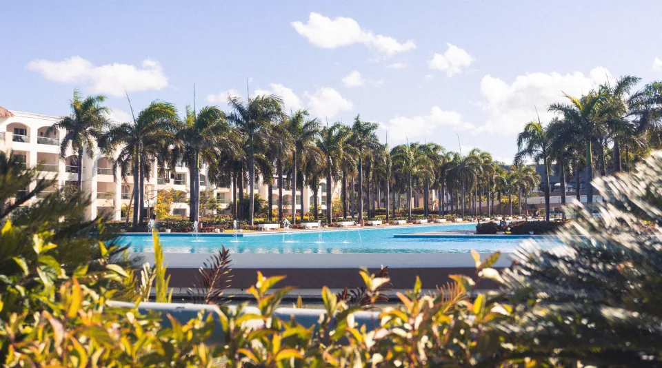 A resort infinity pool lined with tall royal palms